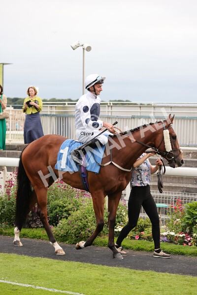 yr23072021r6-8 - Race 6 8.30pm Sky Bet Go-Racing-In-Yorkshire Summer Festival Stakes