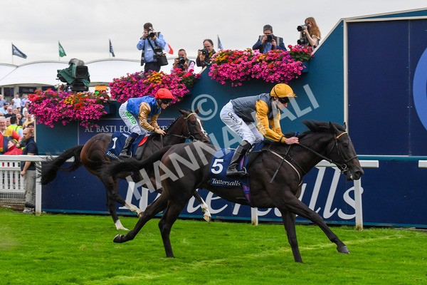 230823-Race 2-Indian Run-0346 - Race 2 2.25pm Tattersalls Acomb Stakes