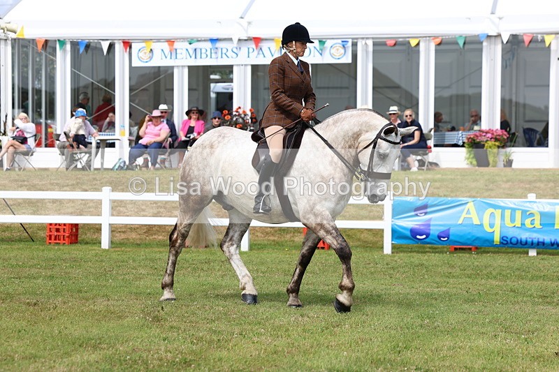 3E7A0246 - Class 6: Rising Star Maxi Cobs