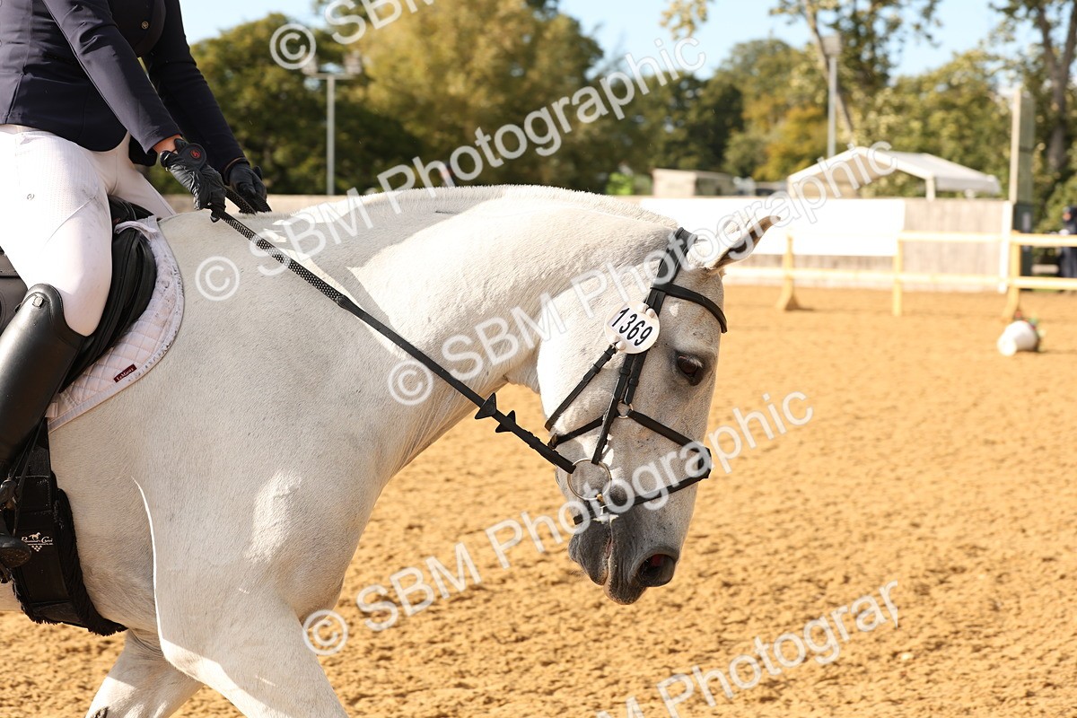 SBM_11582 - D9 - Small Tour Championship Prelim 3