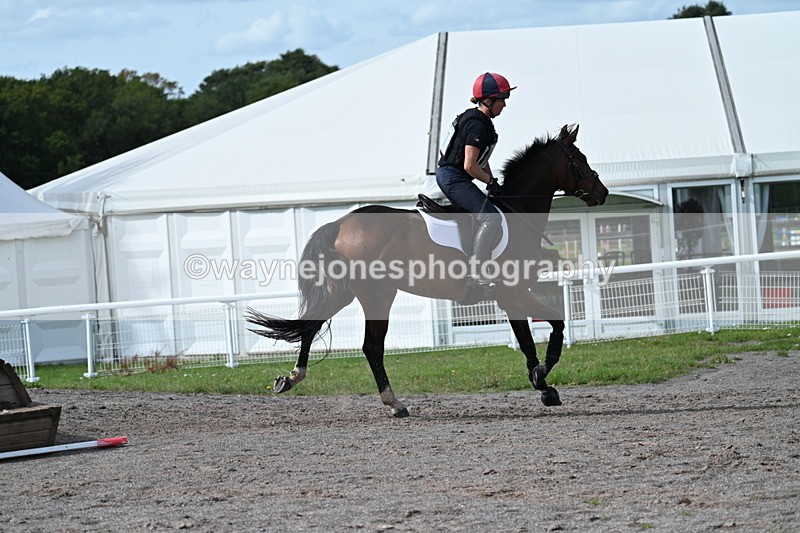 WJ7_2388 - Time 13:55 to 14:05