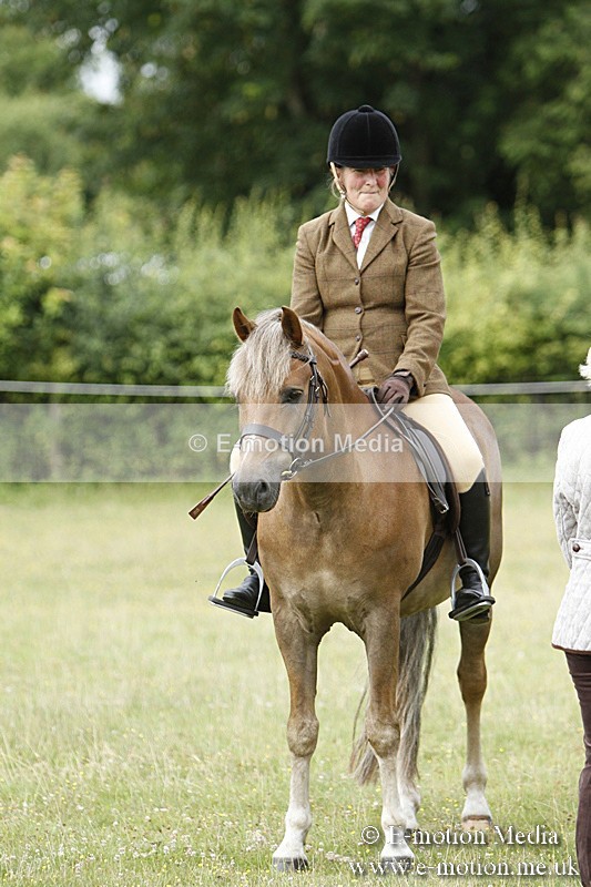 BVR160717-183 - Ring 3 BVRC Show 16/07/17