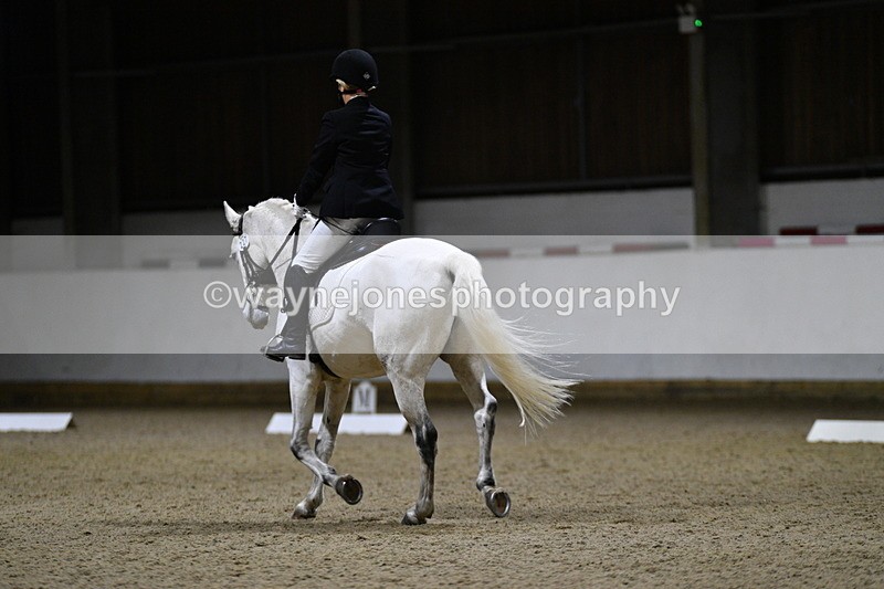 WJ5_8774 - Class 5 Novice Test 3