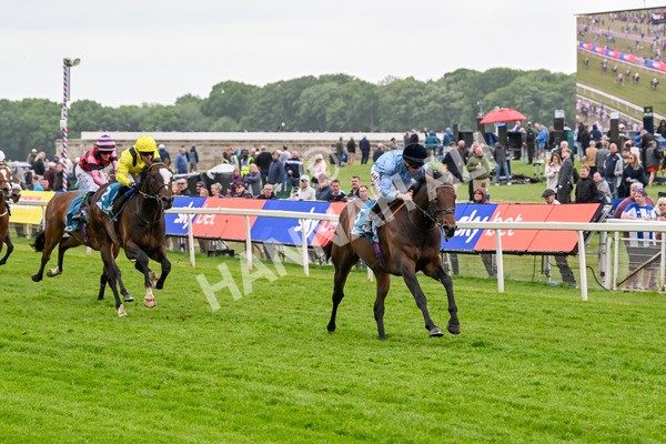 150525-Merchant-5322 - Race 7 5.25pm Haxby Handicap