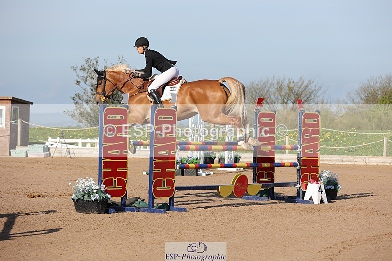 250427-085522-14663 - Cls 28 Young Horse 5yr old