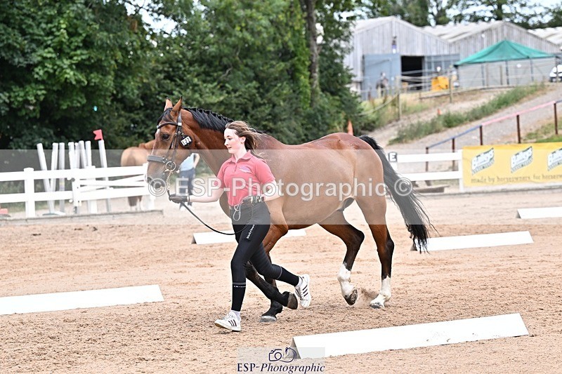 250716-133538-00589 - Trot Up 1.30 to 2.30