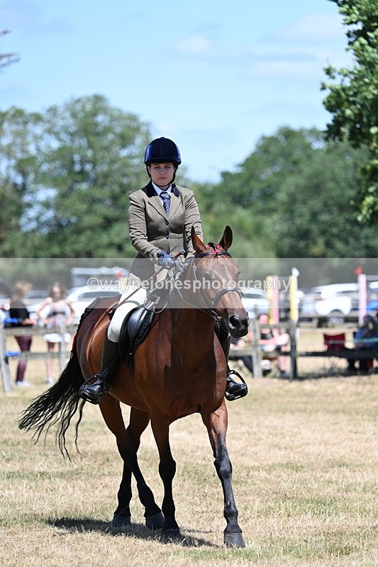 WJ7_3040 - Class 7 Riding Club Show Horse