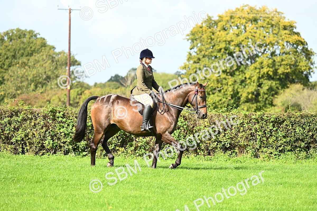 SBM_01745 - S2 - TSR Ridden Horse Showing