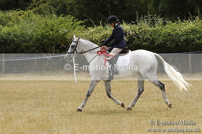 _BS_1041 - Working Hunter Championship BVRC Show 2018