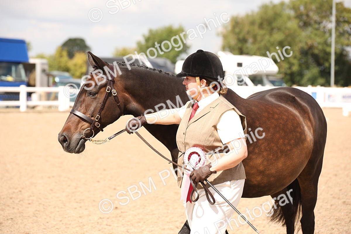 SBM_04665 - Class 20 IH Veteran