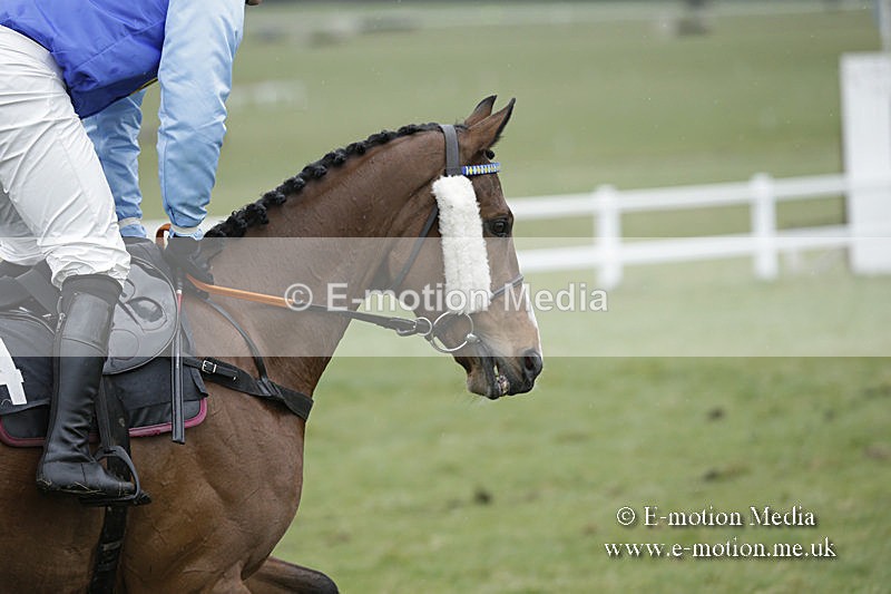 PtP 150320 0278 - New Forest Point-to-Point Larkhill 15/03/20
