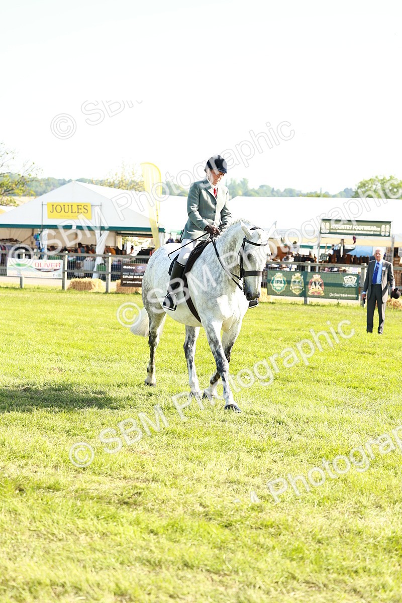 SBM_11772 - Class 66-69 - RIHS Ridden Hunters Inc Small Hunter