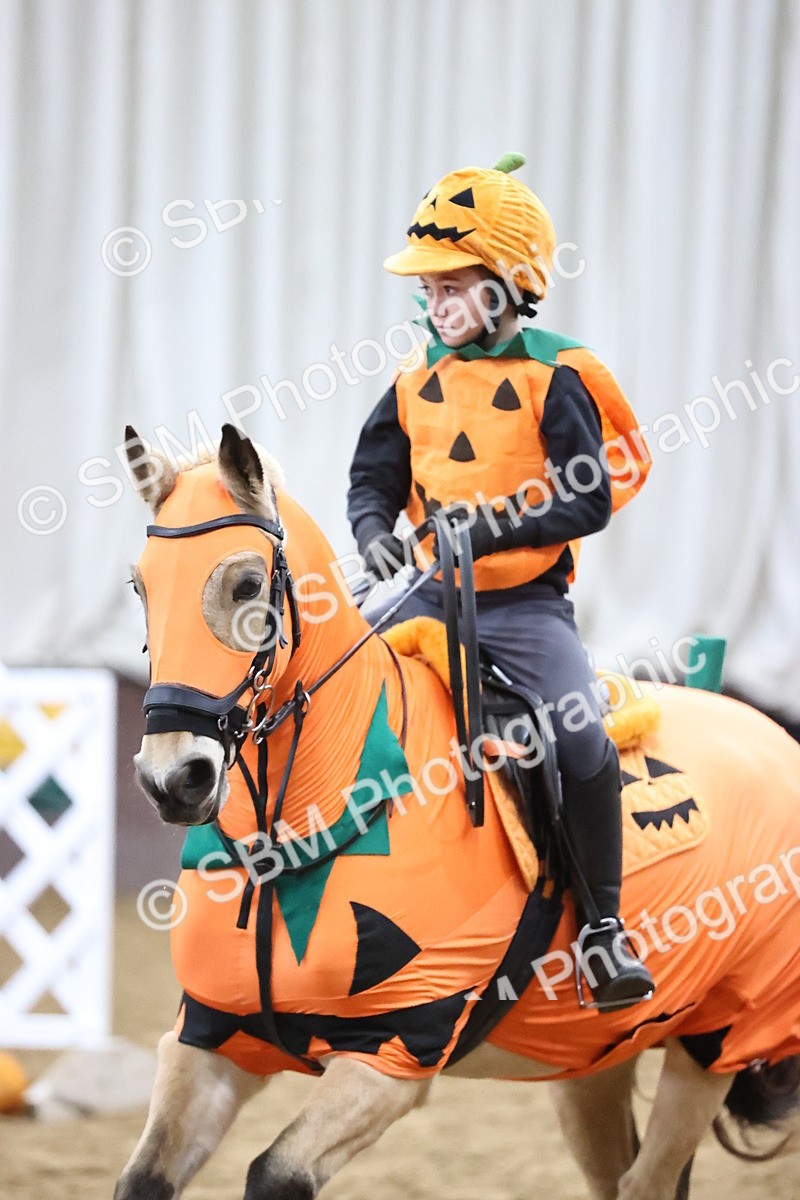 SBM_000544 - Class 2 - Show Jumping 50cm