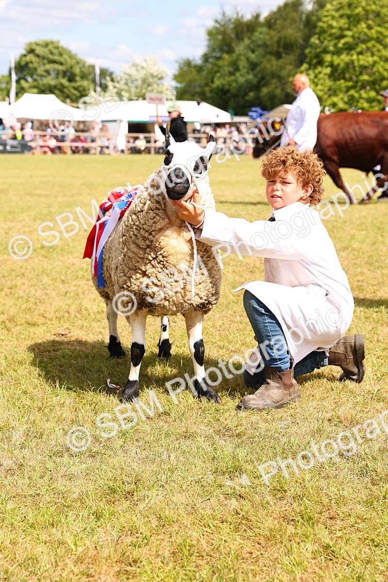 SBM_16971 - Grand Parade
