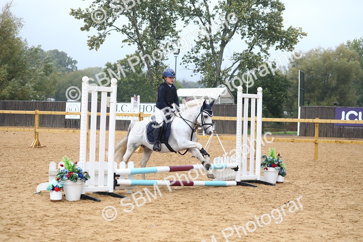 SBM_71587 - J4 - Mini Tour Junior Pony 45cm Championship