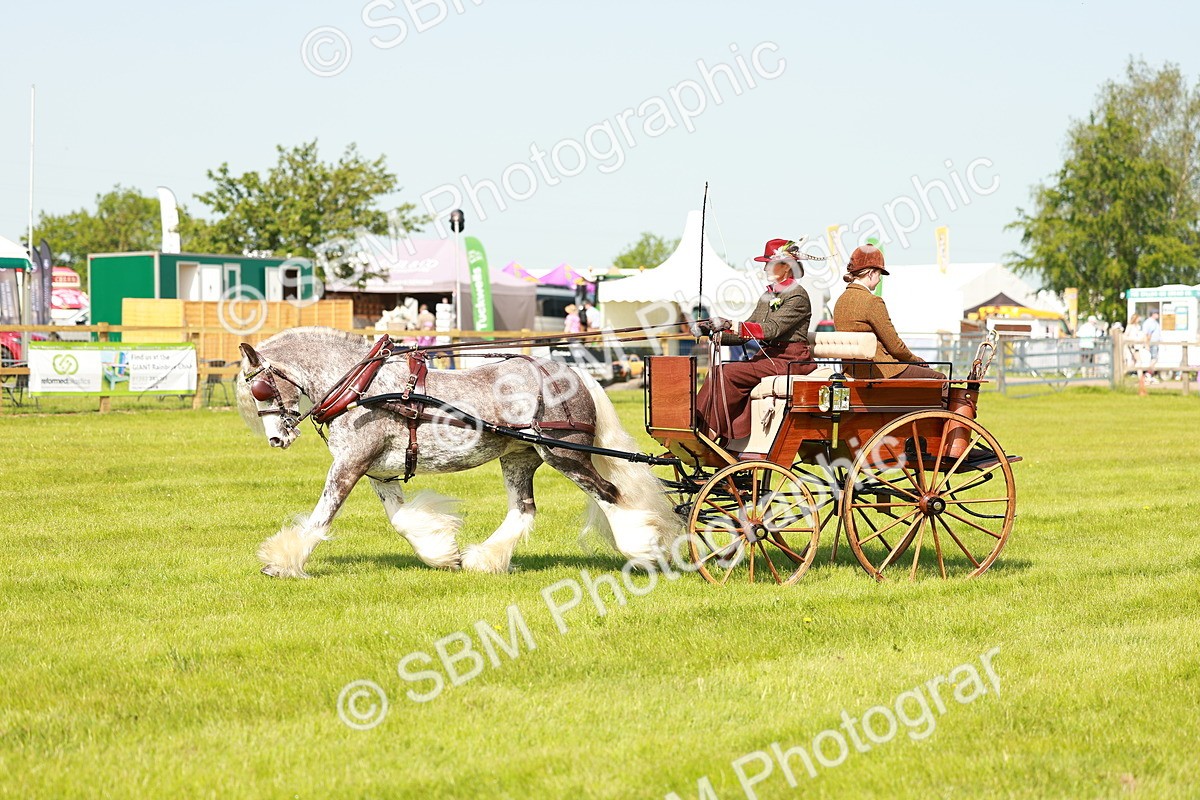 SBM_02655 - Class 2-4 - HOYS Private Driving