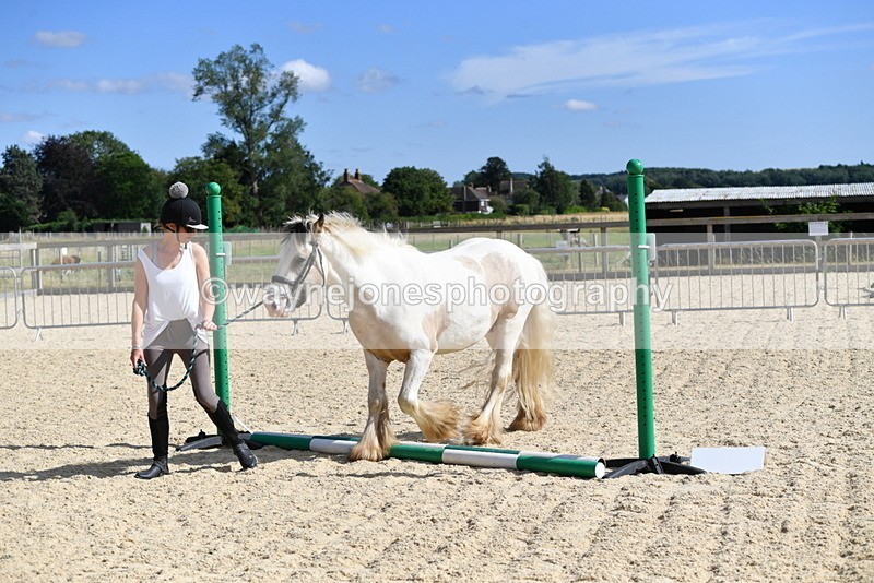 WJ5_5459 - Poles on the Floor