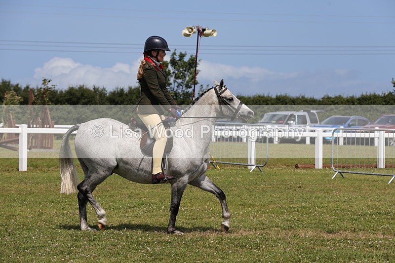 1X9A4125 - Class 32: Show Hunter Pony 153cm and under