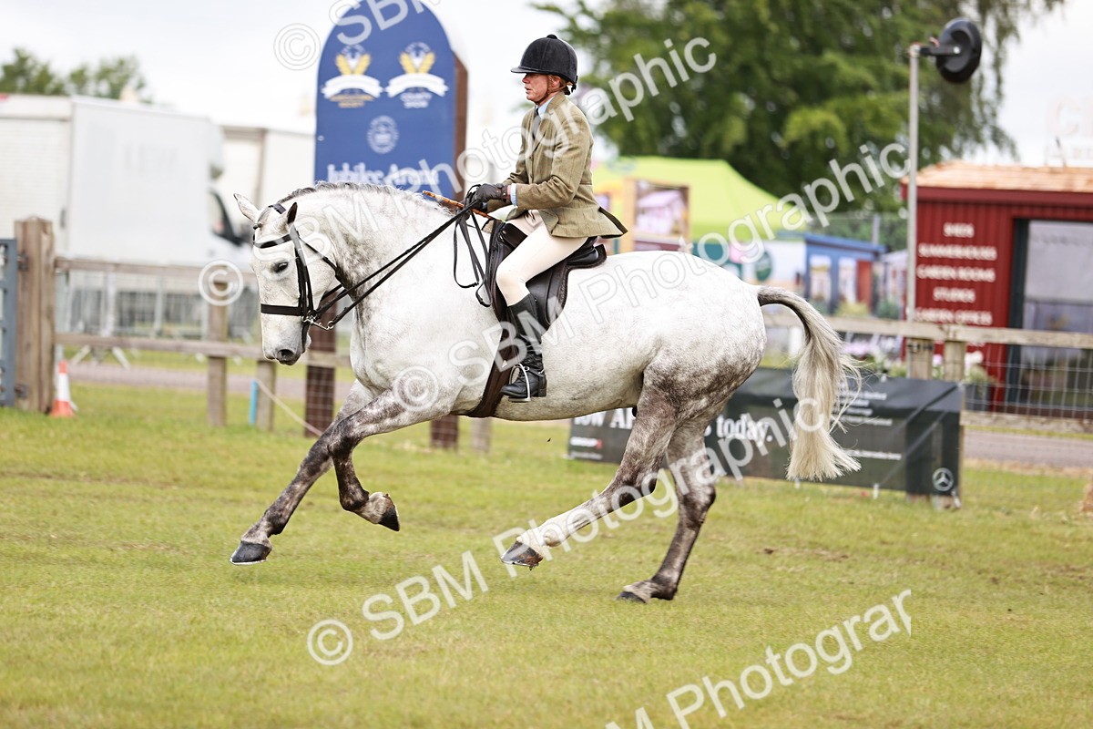 SBM_10784 - Class 81-84 - RIHS Ridden hunters Inc Ladies Hunter