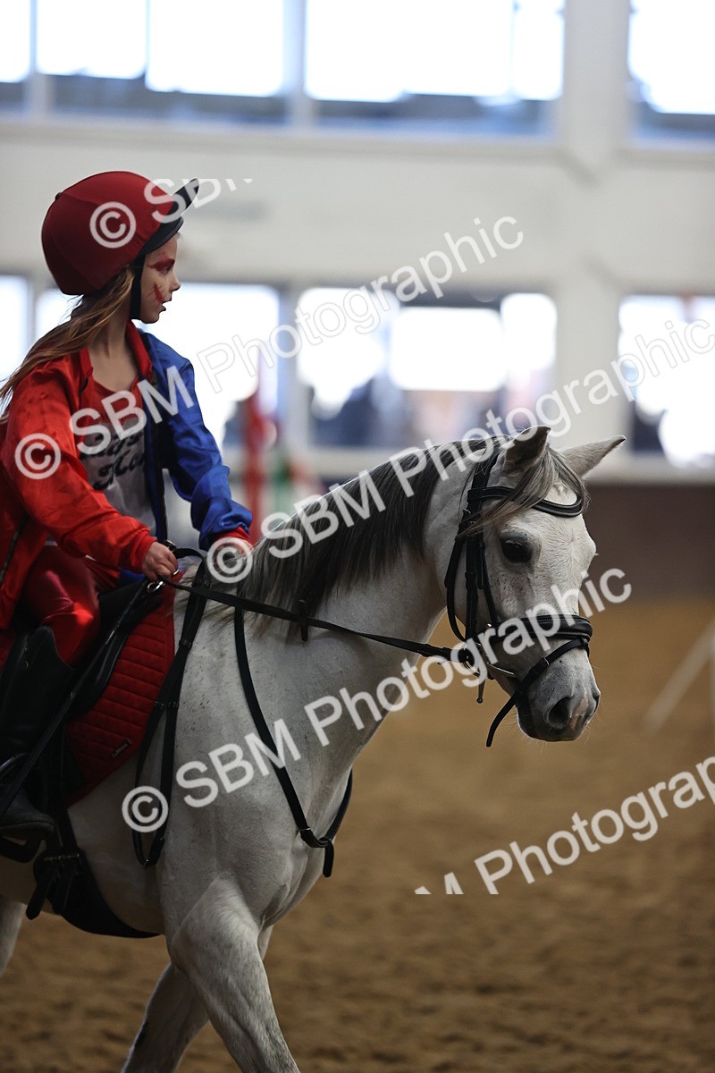 SBM_000308 - Class 2 - Show Jumping 50cm
