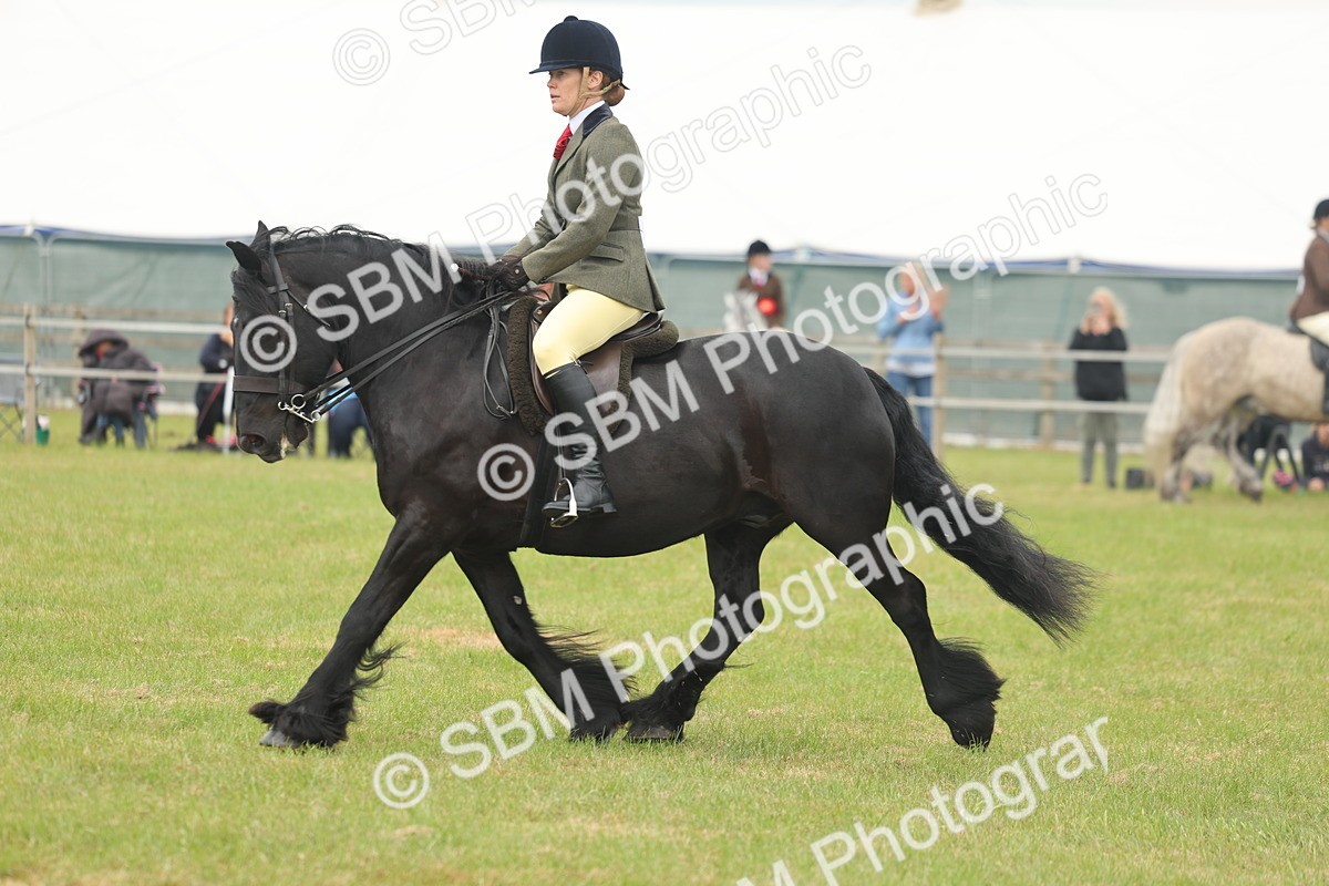 SBM_08964 - Class 78-80 - Ridden M&M Non Welsh Ponies