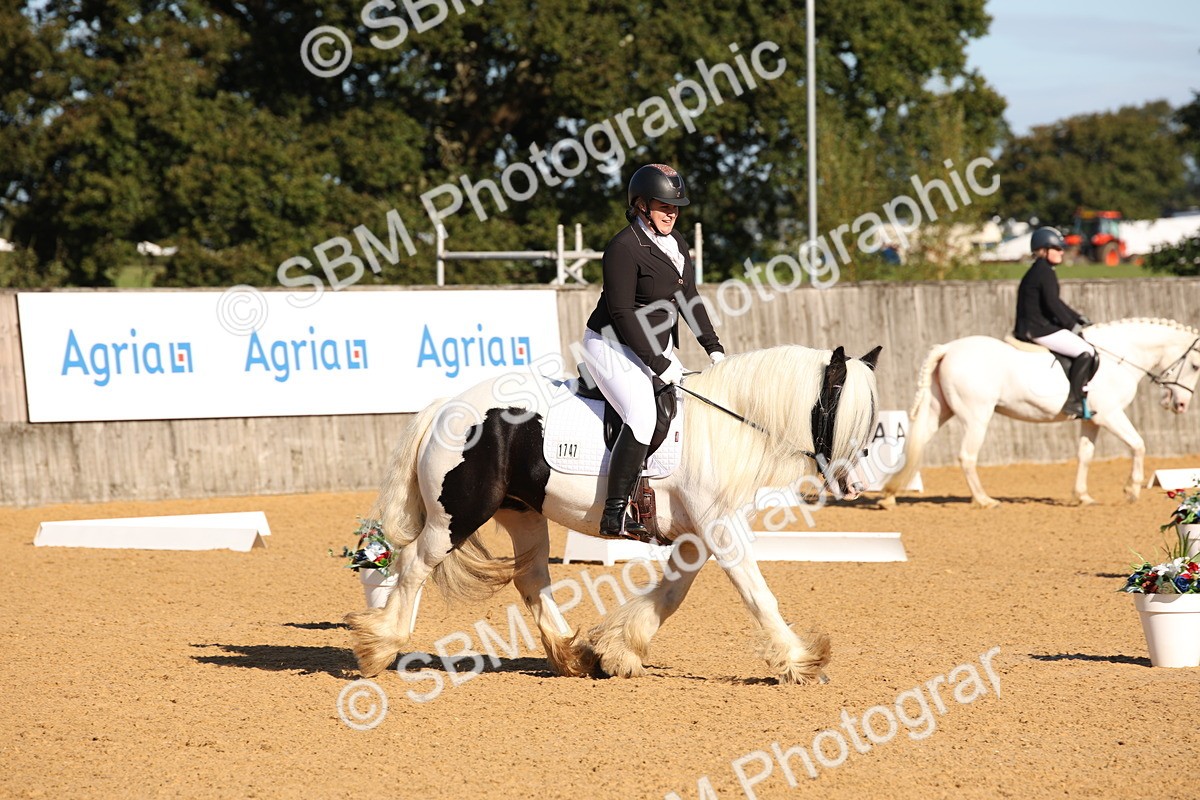 SBM_01860 - D2 Small Tour Championship Intro C