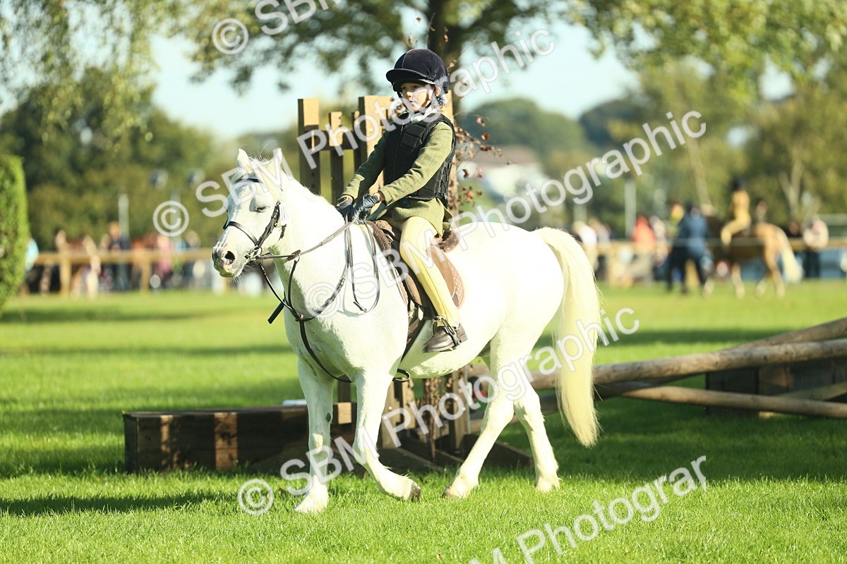 SBM_36393 - S29 - Novice & Newcomers Working Hunter Pony