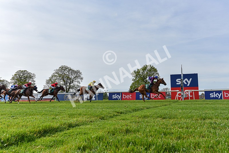 020526-Race 7-Rising Force-7340 - Race 7 5.00pm Sky Bet Irish Day Saturday 16th May Book Now Handicap