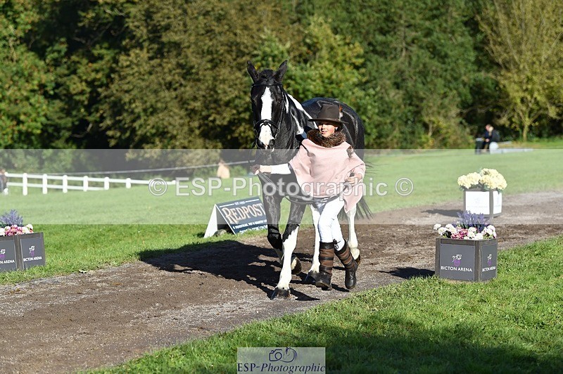 231022-104122-22667 - 438-KILCORBAN.MY.FAIR.LADY-Natasha.Crapper-TrotUp+SJ