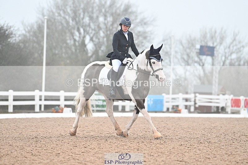 240217A-121123-02140 - 100-Gemma.Pine-Major.IV