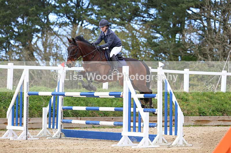 3E7A2075 - Class 8: Senior Foxhunter/1.20 open