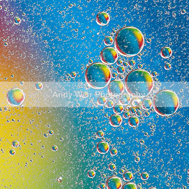 20140204-3K8A8704-2797 - Oil & Water