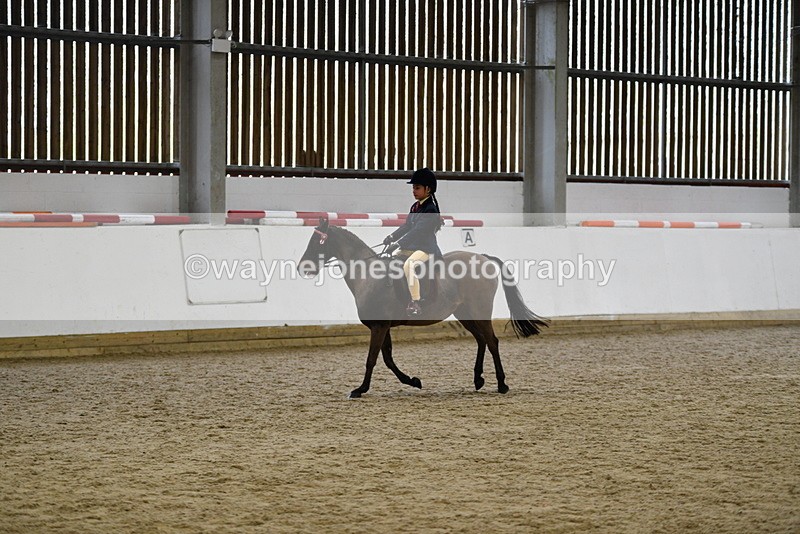 WJ5_6962 - Class 10 Childs Pony