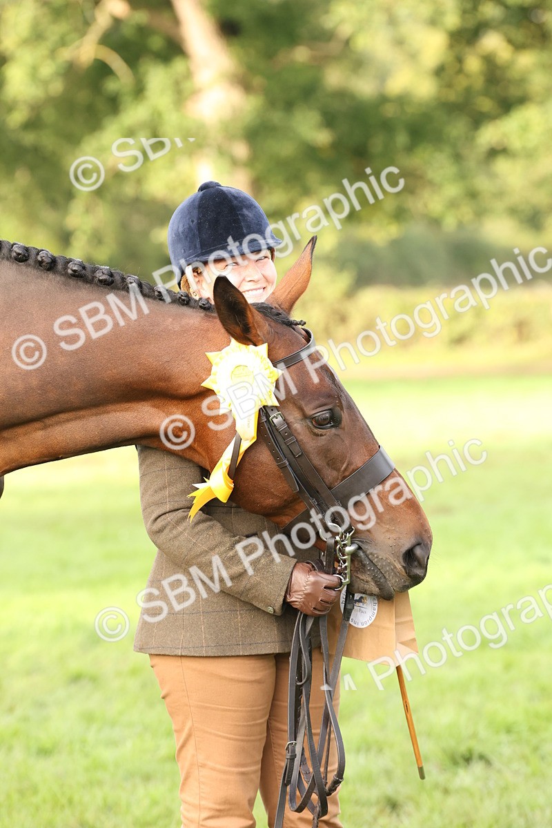 SBM_55007 - S52 - Riding Horse & Hack & thoroughbred In Hand