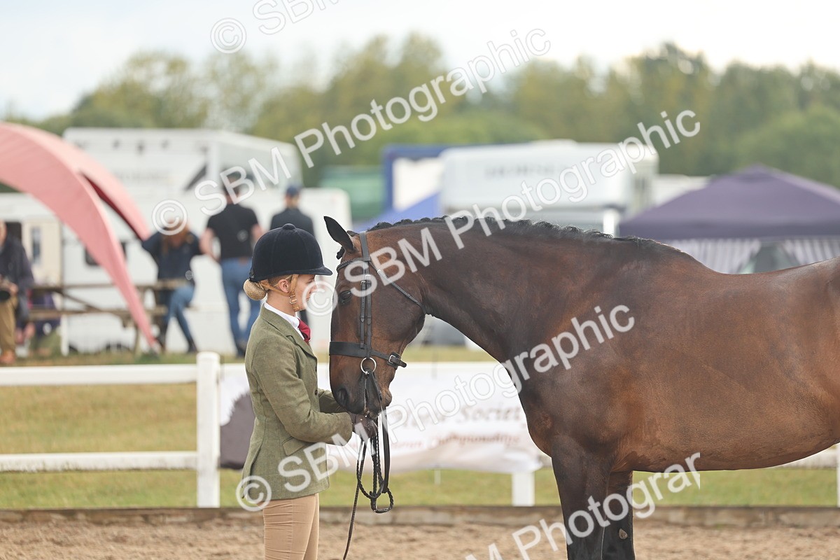 SBM_07898 - Class 28 - IH Veteran Horse