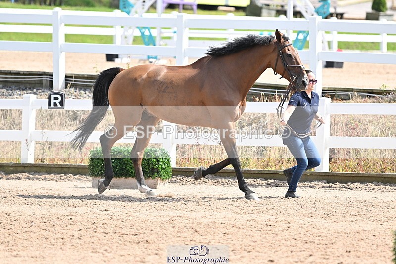 240717A-152006-02757 - Trot Up 3pm to 4pm