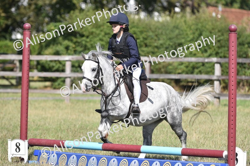 20260906-1374 - Class 8 - Hoof and Foot