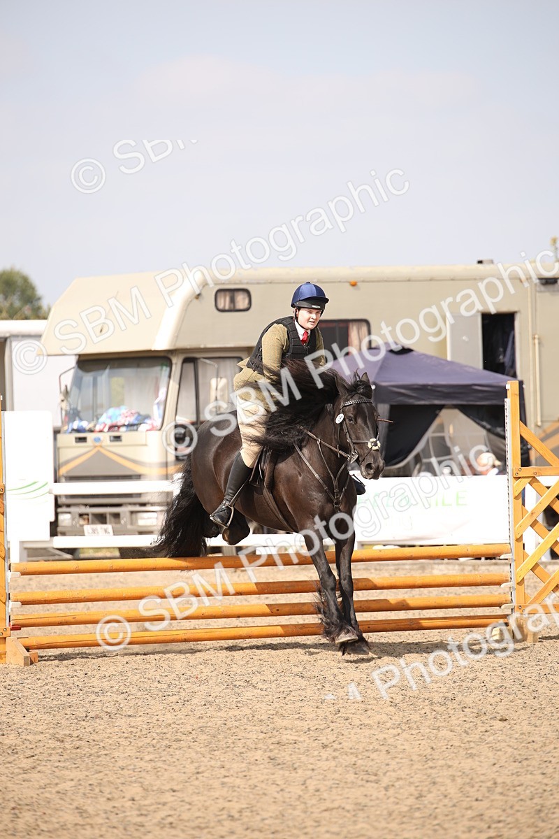 SBM_14998 - Class 408a - Working Veteran 70cm (15-19