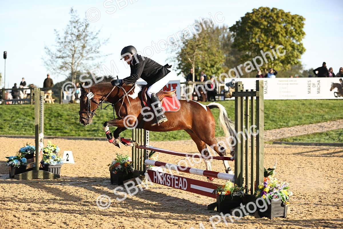 SBM_33060 - J38 - Senior 80cm Championship