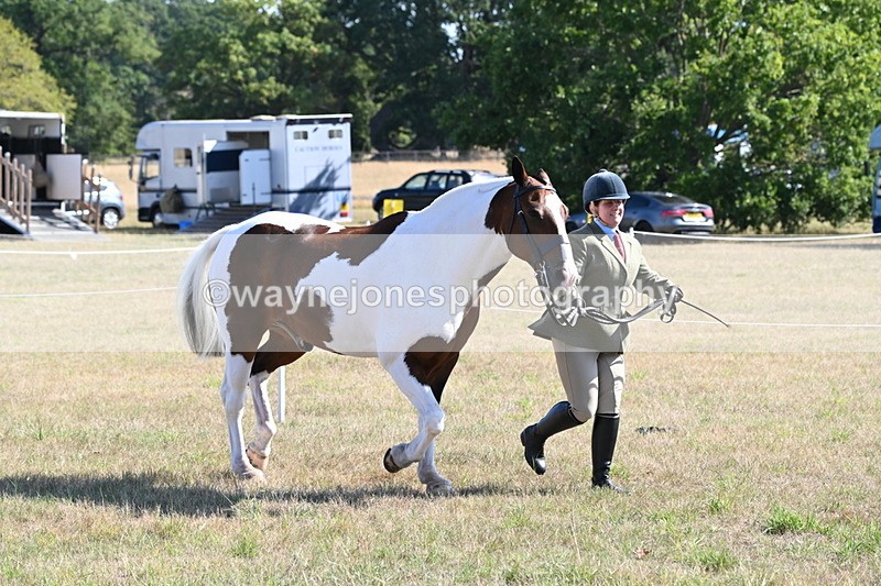 WJ6_4227 - Class 16 Condition & Turn Out