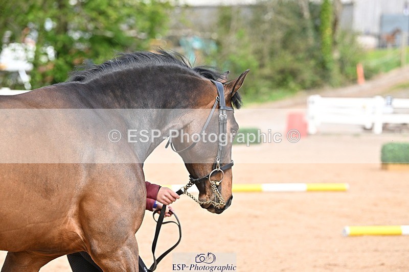 250423-133013-00629 - 1pm to 2pm