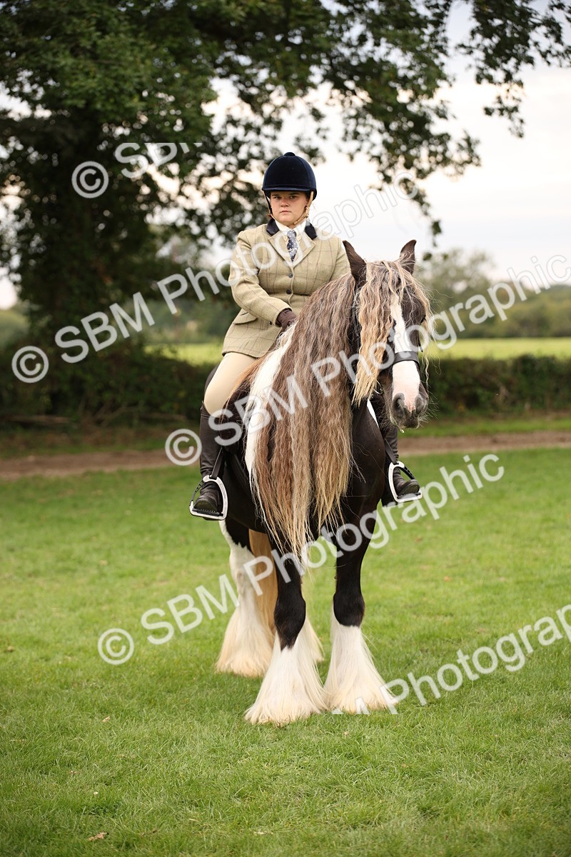 SBM_73463 - S68 - Traditional Cob Ridden