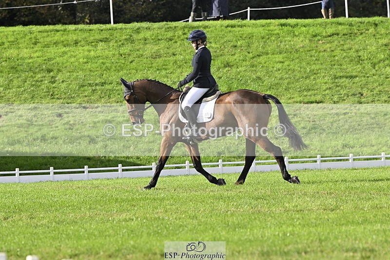 251023A-150726-04504 - E-386-Zara.Head