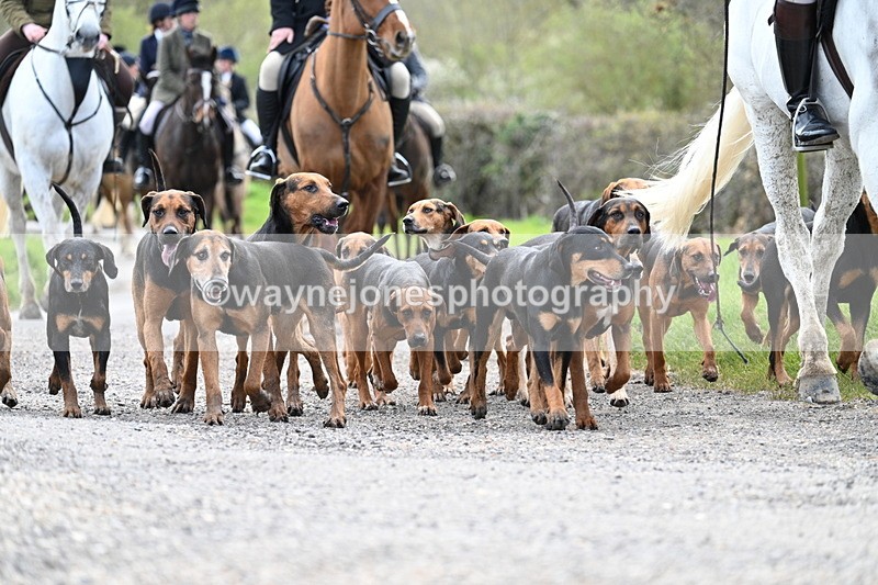 WJ7_9802 - Walk Home