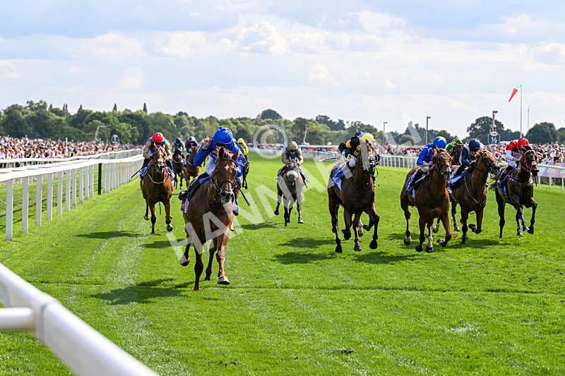 220826-Race 3-Notable Speech-9977 - Race 3 15.00pm Sky Bet City Of York Stakes