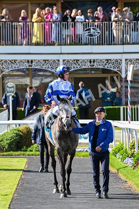 130526-Race 7-Master Builder-3883 - Race 7 5.15pm Stuey Weston & Friends Getting Out Handicap