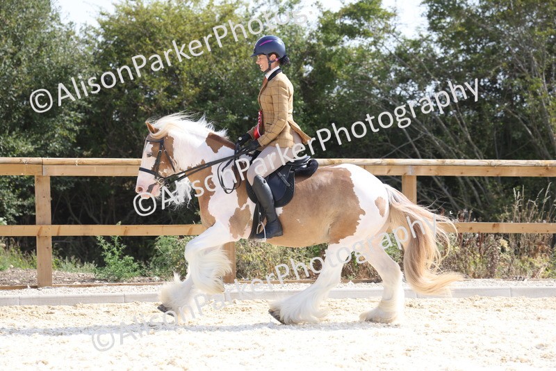 20260802-0542 - Class 6 - Veteran Ridden