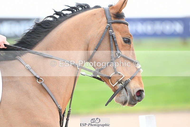 260313-103431-00988 - Cls 1 Snr 1.05m and 1.10m Open