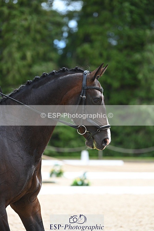 230813-125249-07179 - Cls 13 Medium Bronze Start to 13.00 break