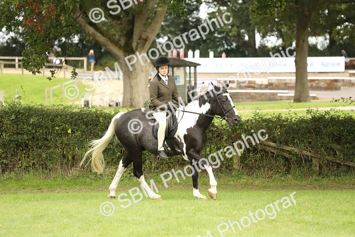 SBM_71618 - S41 - Ridden Equitation (Best Rider)